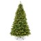 Pre-Lit Cedar Cypress Christmas Tree w/Twinkling Lights, Lighted Artificial Holiday Décor, White & Multicolored LEDs